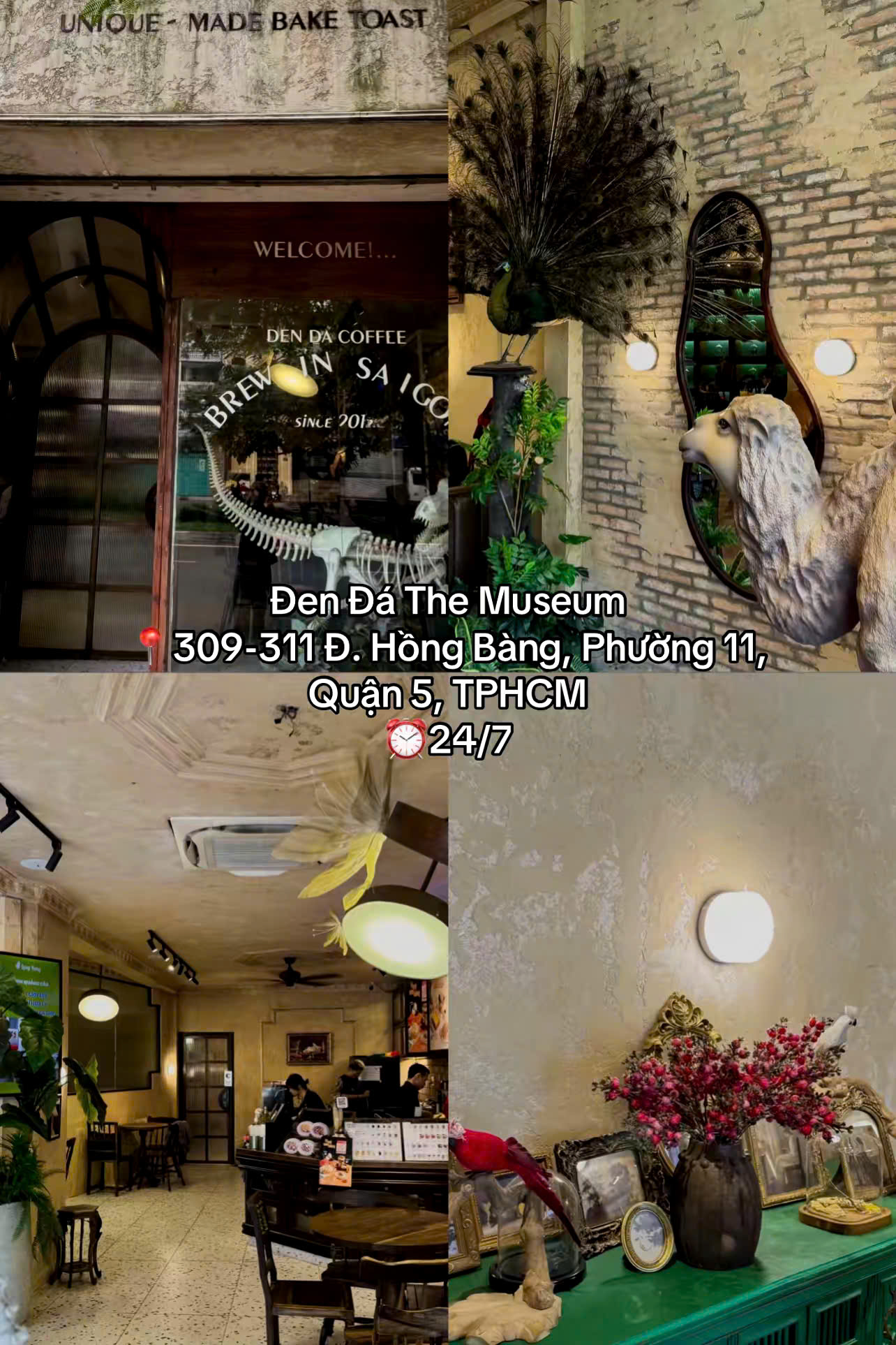 Đen Đá The Museum mang không gian như một bảo tàng thu nhỏ, với ánh sáng vàng ấm và những mô hình trưng bày độc đáo, tạo cảm giác vừa cổ điển vừa cuốn hút.