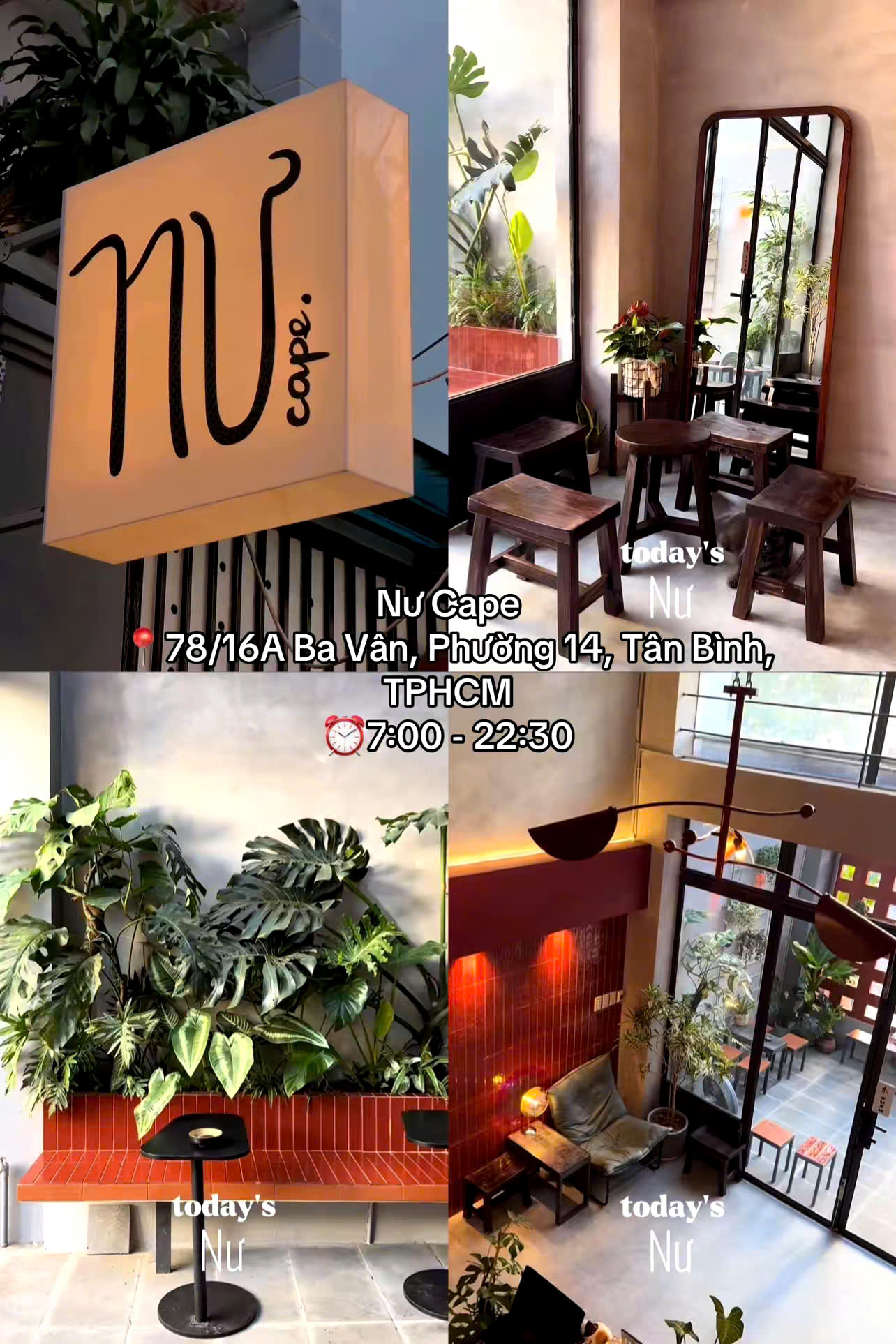 Nư Cape với không gian ấm cúng, trang trí tinh tế với tông màu sáng và cây xanh, tạo cảm giác dễ chịu, gần gũi và lý tưởng để thư giãn hoặc chụp ảnh