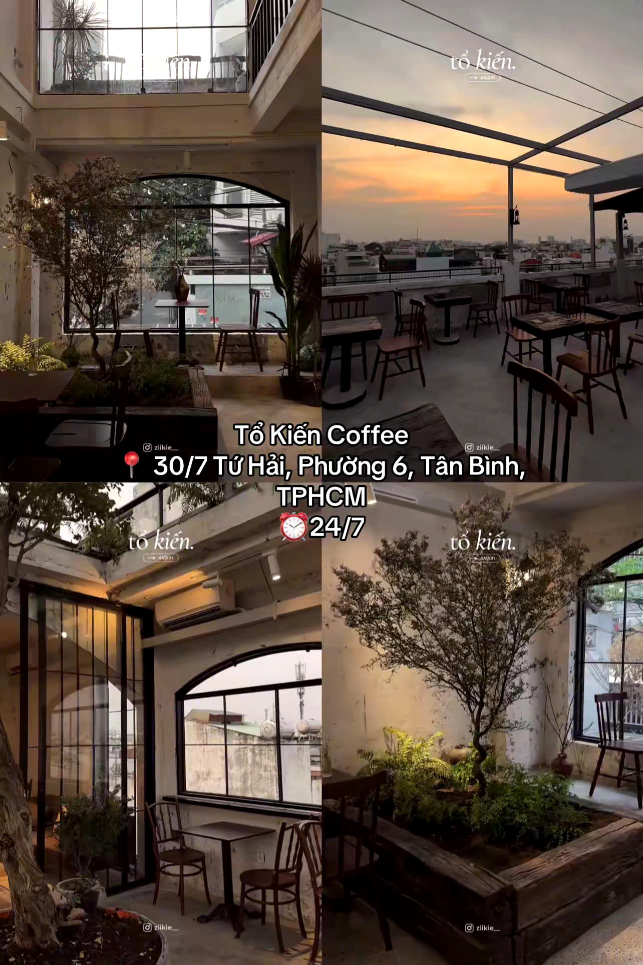 Tổ Kiến Coffee với view xanh mát và decor gỗ mộc mạc, tạo cảm giác ấm áp, yên bình giữa lòng thành phố